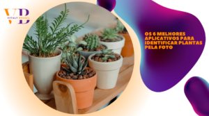 Os 6 melhores aplicativos para identificar plantas pela foto