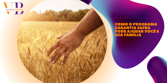 Como o Programa Garantia Safra pode ajudar você e sua família