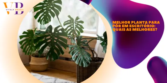 Melhor planta para pôr em escritório: quais as melhores? 