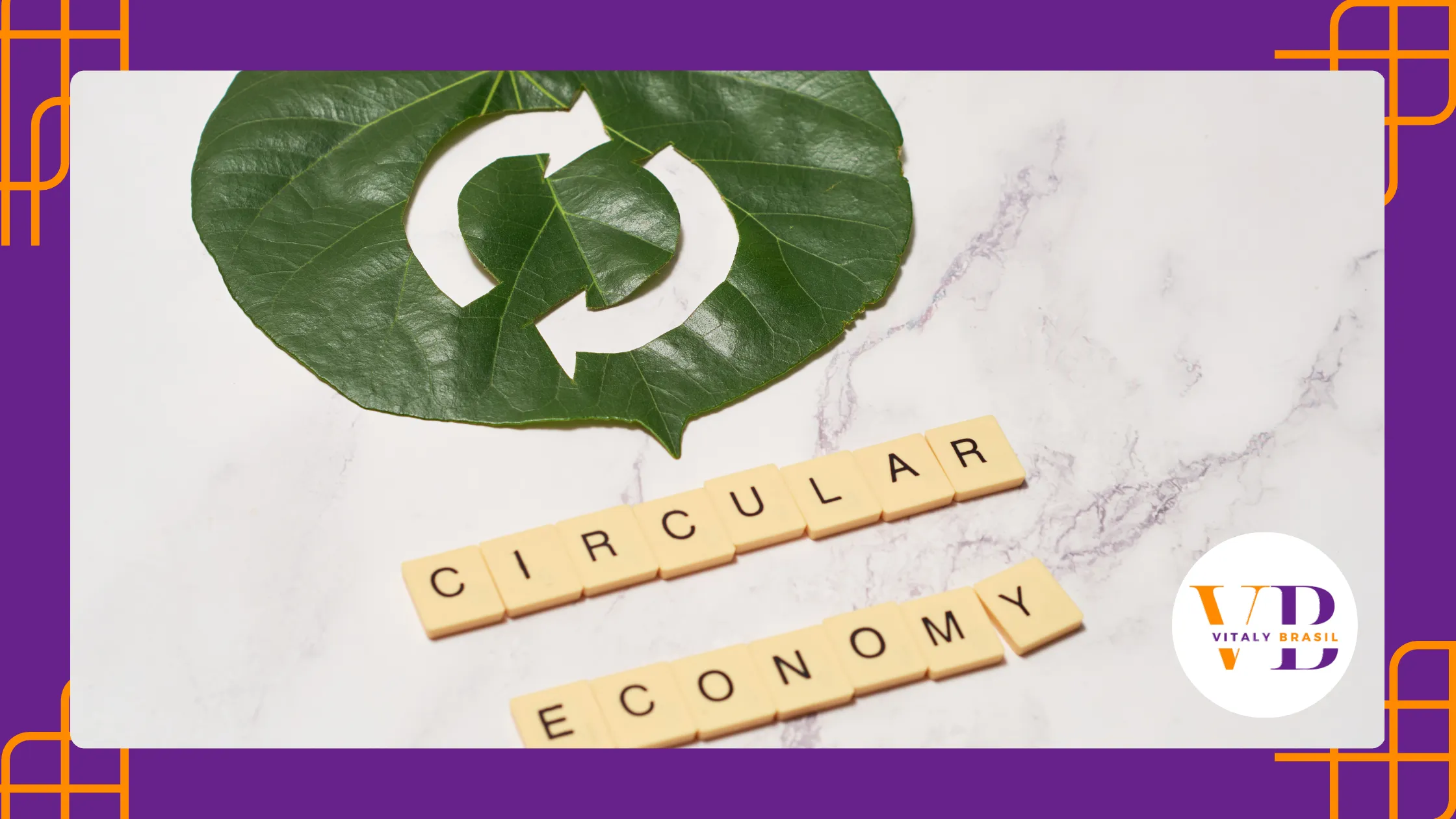 Economia Circular e Sustentabilidade: Estratégias para Empreendedores 