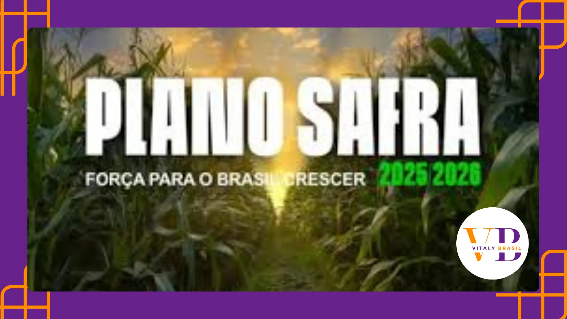 Plano Safra do Agronegócio: O que É, Como Funciona?