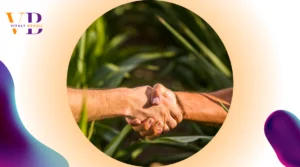 Plano Safra do Agronegócio: O que É, Como Funciona