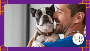 SINPATINHAS: Como fazer RG de pet gratuito?